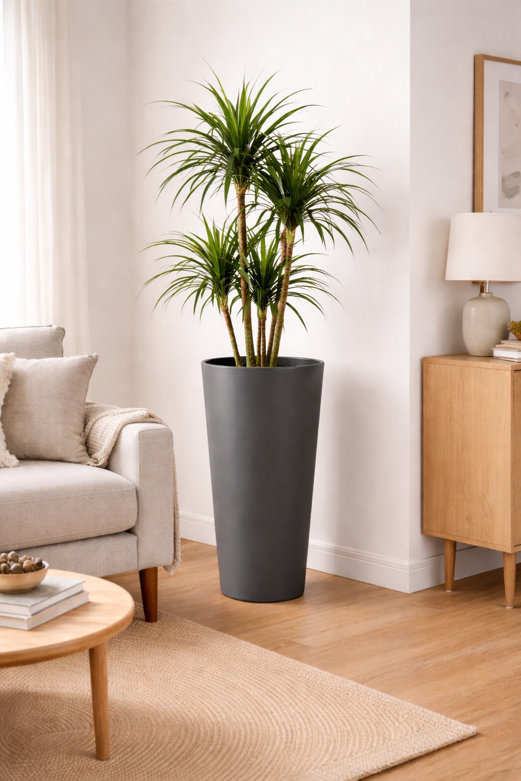 Vaso planta sala moderna